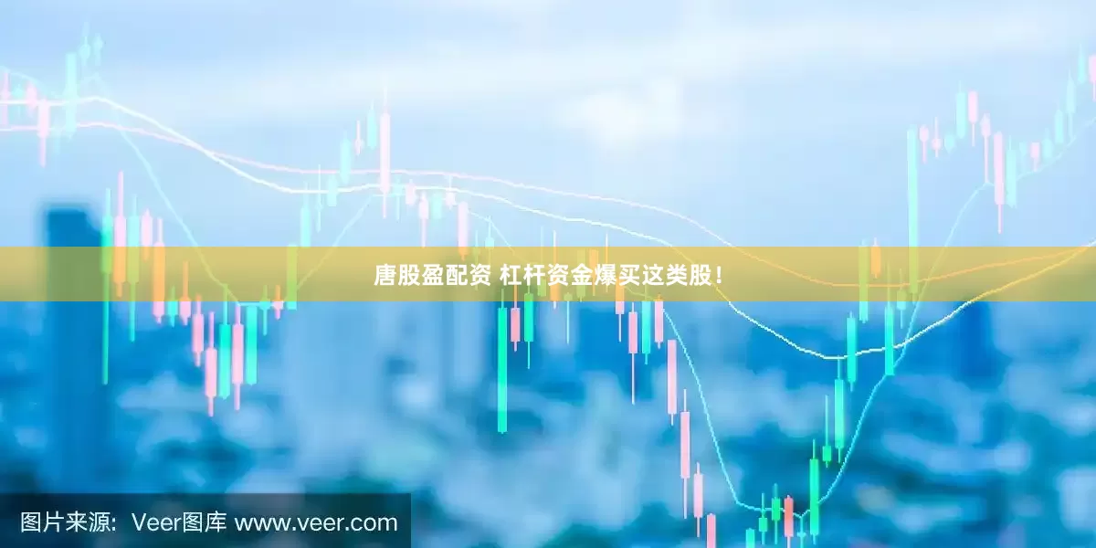 唐股盈配资 杠杆资金爆买这类股！