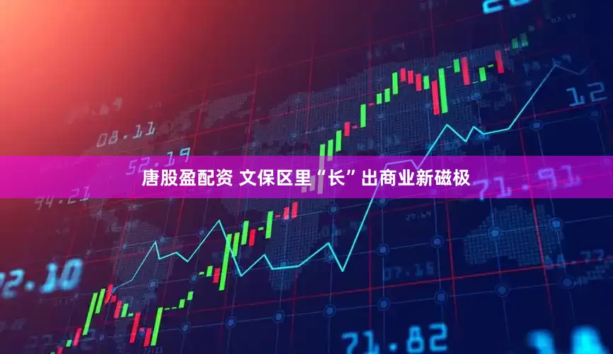 唐股盈配资 文保区里“长”出商业新磁极