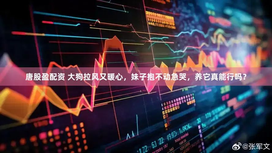 唐股盈配资 大狗拉风又暖心，妹子抱不动急哭，养它真能行吗？