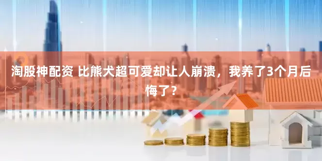 淘股神配资 比熊犬超可爱却让人崩溃，我养了3个月后悔了？