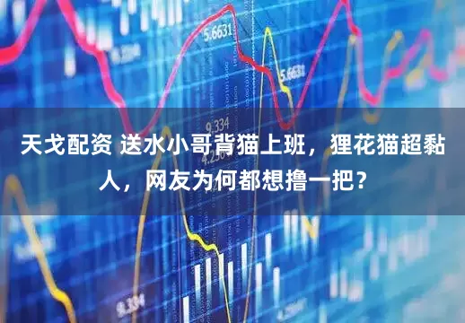 天戈配资 送水小哥背猫上班，狸花猫超黏人，网友为何都想撸一把？