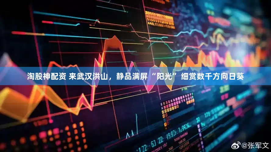 淘股神配资 来武汉洪山，静品满屏 “阳光” 细赏数千方向日葵