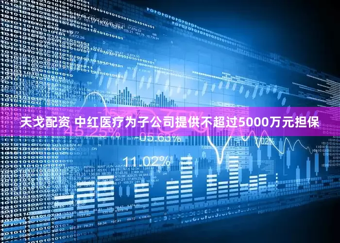天戈配资 中红医疗为子公司提供不超过5000万元担保